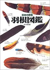 2025年最新】野鳥羽根の人気アイテム - メルカリ