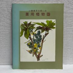 小磯良平の描いた 薬用植物画 平成8年 図録 ボタニカルアート