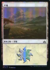 【中古】マジックザギャザリング [C]：【FOIL】平地/Plains