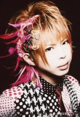 【中古】生写真(男性) カメレオ/Kouichi/バストアップ・衣装黒白赤・水玉模様・体右向き・背景黒/CD「妄想日記＆5/5」ZEAL LINK(ジールリンク)特典アーティストフォト