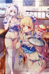 【中古】タペストリー [単品] 羽衣紫音＆姫路白雪 B2タペストリー 「ライトノベル ライアー・ライアー 嘘つき転校生は本物のお嬢様と大胆過ぎる嘘を企てています。 第14巻 メロンブックス限定版」 同梱特典のサムネイル