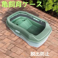 亀 カメ 飼育ケース 水槽 ミドリガメ ザリガニ カニ ペット　ケース　両生類のサムネイル