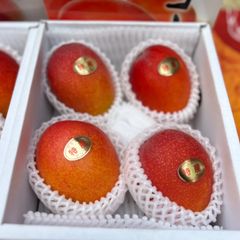 沖縄県産マンゴー 優品 4玉 1.3〜1.5kg
