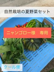 【ニャンゴロー様専用】自然栽培の野菜セット