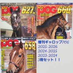 匿名！送料無料！POG2025~2026 2024~2025   2023~2024    3冊セット！！