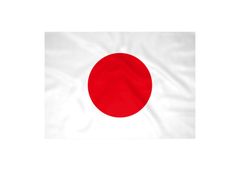 ⭐️ 大分県 旗 テトロン製 日本製 大分県 応援 スポーツ 部活 大会