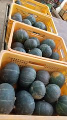 「くりゆたか」南瓜　●北海道産●10kg詰め ほっくほく！！