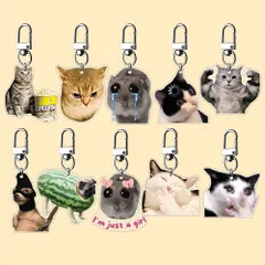 10個セット キーホルダー 猫 アクリル 平面 2D 動物 アクリル 小さい 3cm シュール ねこ ネコ キーチェーン かわいい おもしろ アニマル 車 おもしろい おしゃれ インテリア t8194