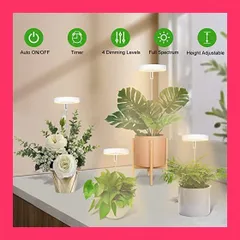 ヘリオスグリーン　LEDライト　中古品4個セット　調光レンズ付き ヘリオスグリーン LEDライト 中古品4個セット 調光レンズ付き