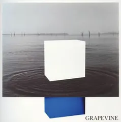 2025年最新】grapevine lpの人気アイテム - メルカリ