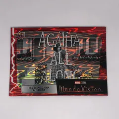 2025年最新】ワンダヴィジョンの人気アイテム - メルカリ