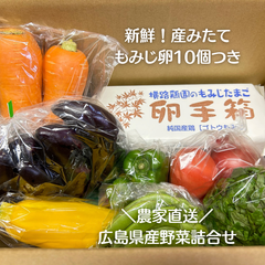 広島県産野菜詰合せ　産みたて赤卵10個つき