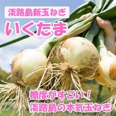 《残りわずか！》淡路島 新玉ねぎ 早生 “いくたま” 5kg【兵庫県淡路島産】