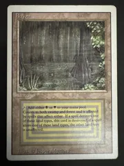 2026年最新】デュアルランドの人気アイテム - メルカリ