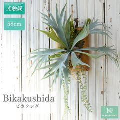 Item thumbnail for item 6a45de91-ce8c-4e9d-83c8-a02b51d52cc8