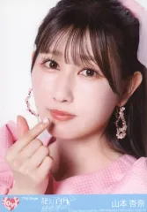 【中古】生写真(女性) 10：イコールラブ(=LOVE)/山本杏奈/CD「絶対アイドル辞めないで」初回仕様限定盤TYPE-C(VVCL-2522～3)封入特典生写真