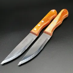 トラモンティーナ ポリウッドジャンボステーキナイフ 2本セット