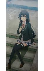 △未使用 シエル 等身大タペストリー 月姫 - メルカリ