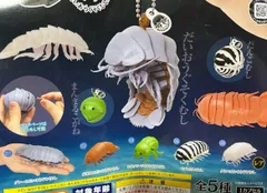 ダンゴムシ　ガチャ　コンプリート未開封品 2025年最新】DANGOMUSHIの人気アイテム - メルカリ