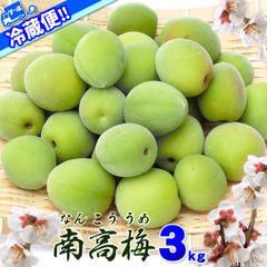 愛媛県産 南高梅 青梅 優品 サイズおまかせ 3kg 送料無料 クール便でお届け