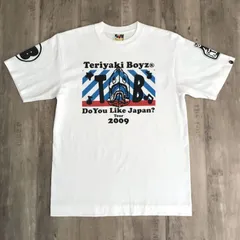 激レア】アベイシングエイプ テリヤキボーイズ 半袖Tシャツ