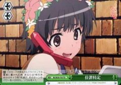 [중고]바이스슈발츠 RG/W26-T05[TD]:위치 특정
