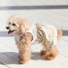 犬と生活　くまさんパフパンツクール
