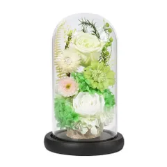 超希少品2021年運行記念（未運行）花たびそうやレプリカサボ新品