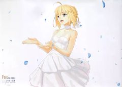[중고] 포스터 B1 포스터 세이버(드레스) [TYPE-MOON전 Fate/stay night -15년의 궤적-]