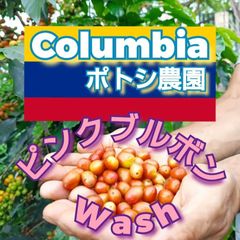 コロンビア★ポトシ農園 ピンクブルボン ウォッシュ★スペシャリティコーヒー　200g入り★コロンビア珈琲豆★自家焙煎コーヒー豆★エムリバーサイドコーヒー