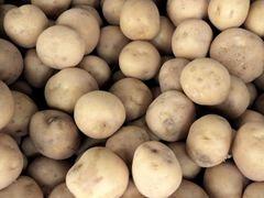 北海道産じゃが芋　２０ｋｇ 業務用