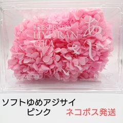 大地農園 ソフトゆめアジサイ・ヘッド ピンク 新品1箱