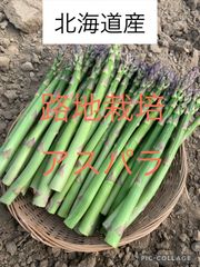 北海道産アスパラ　特別セット