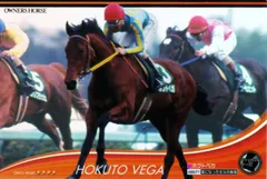 2025年最新】ホクトベガの人気アイテム - メルカリ