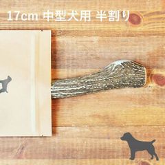【 17cm 中型犬用 】【半割り】エゾ鹿の角 犬 おやつ 無添加 国産 北海道産 ペット・ペットグッズ ドッグフード ガム 骨（ボーン）型 鹿の角 硬い 長持ち おもちゃ 鹿角 角ガム ペット用品　犬用品　ドッグフード