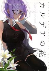 [중고] 남성향 일반 동인지 ≪Fate≫ 칼데아 꽃 / 히토토세히루네 / Pisolino