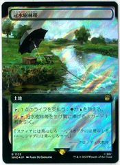 サージFOIL/MTG/日本語版/冠水樹林帯/Waterlogged Grove/拡張/ボーダー