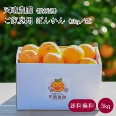 2025年最新】ポンカンの人気アイテム - メルカリ