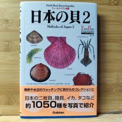日本の貝 2(二枚貝・陸貝・イカ・タコほか)