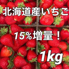 15%増量！北海道栗山町産 ファームうかわ 訳あり苺 1kg 生いちご イチゴ
