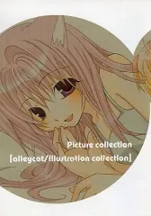 【中古】男性向一般同人誌 ≪オリジナル≫ 【コピー誌】Picture collecrion / サトコ / alleycat