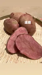 きらり☆☆☆様専用