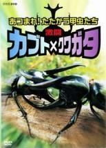 全巻セット【中古】DVD▼宝島(8枚セット)第1話～第26話+劇場版 レンタル落ち 宝島 全8枚 第1話～第26話+劇場版 レンタル落ち 全巻セット 中古 DVD