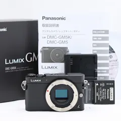 値下げ Lumix GM5 ボディ付属品完備に加え、標準ズーム、フラッシュ 