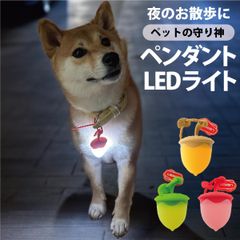 犬 お散歩 ペンダント LED 充電式 (te)