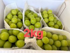 クール便発送 当日発送可 山梨県産 シャインマスカット 3kg 農家