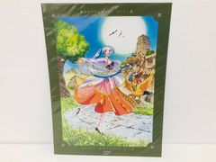 未開封 ONE PIECE ワンピース ビビ バースデーポートレート