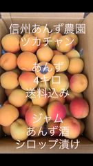 生あんず  [事前予約]「優品」4キロ 加工用 [6月中旬〜6月下旬発送予定] 信州 千曲市 産地直送 杏 ジャム シロップ漬け あんず酒  ドライアンズ 送料込み