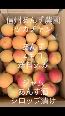 2025年最新】生あんず 加工用の人気アイテム - メルカリ