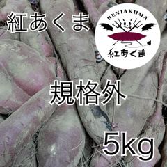 【紅あくま】さつまいも　5kg　B級品　新物　紅はるか　焼き芋　干しいも　干し芋